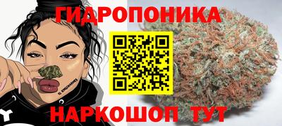 a pvp Жуковский