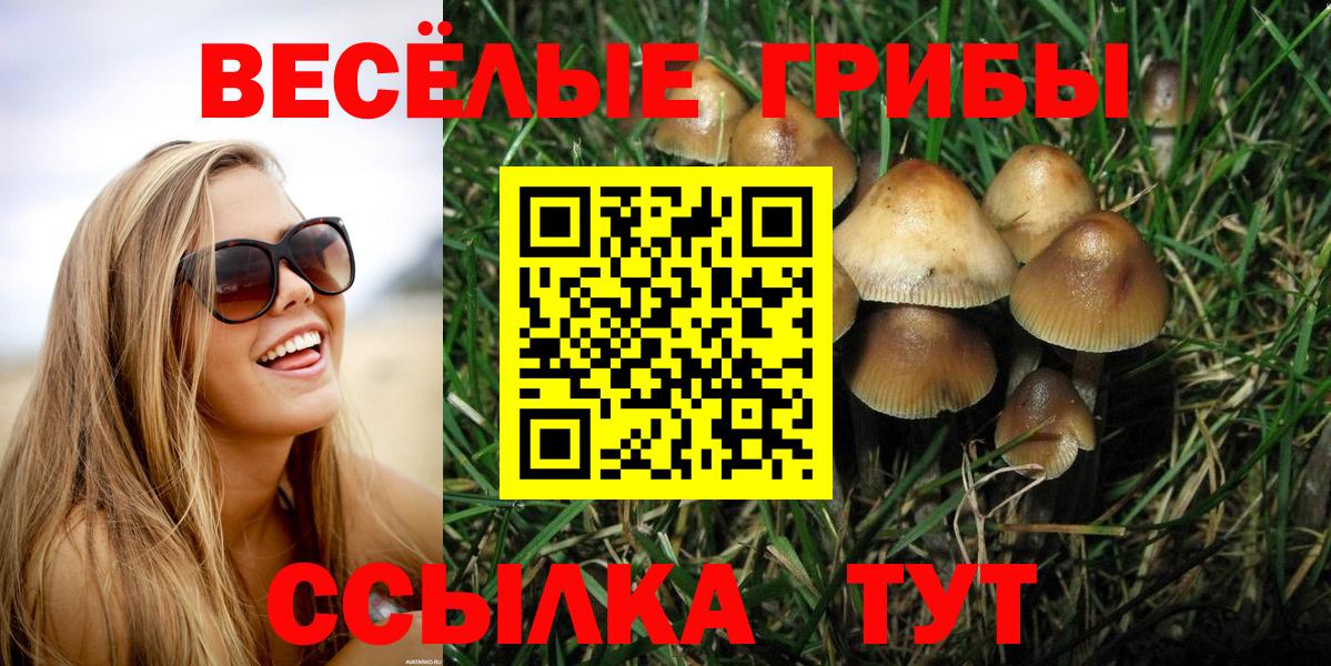 Галлюциногенные грибы прущие грибы Хасавюрт