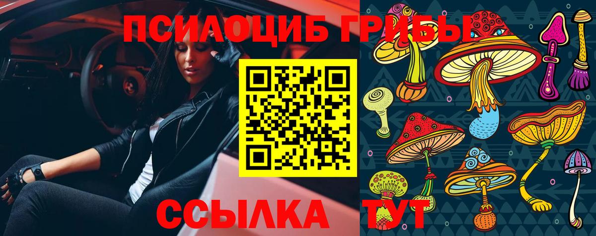 Хасавюрт  Псилоцибиновые грибы Psilocybe  Вход с VPN  Галлюциногенные грибы мицелий 